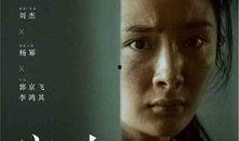 杨幂娱乐八卦爆料郑恺,揭秘背后真相与情感纠葛